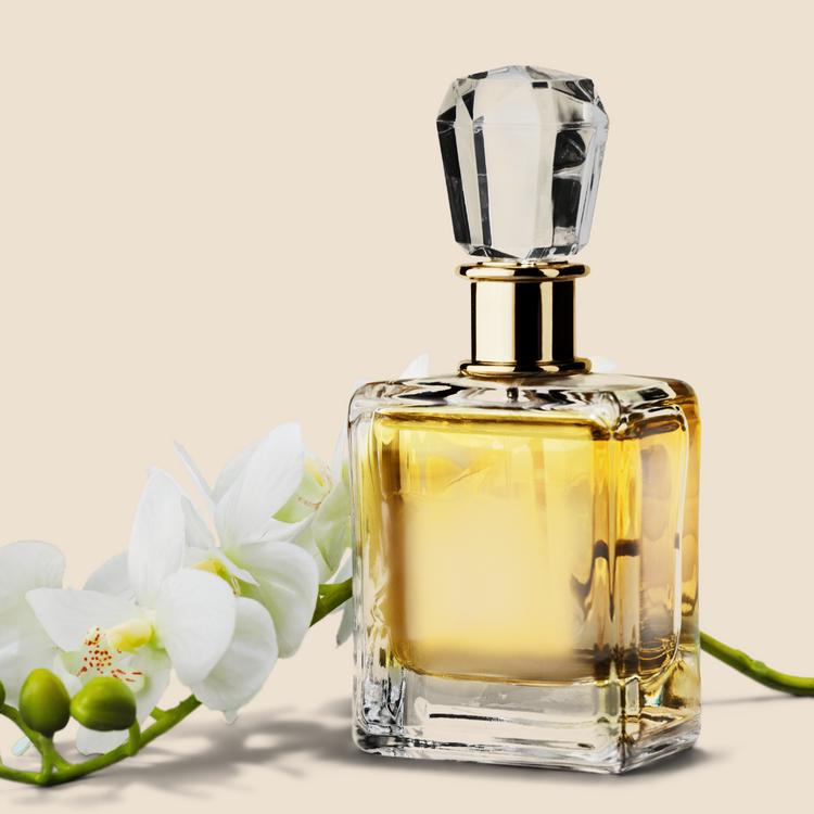 Perfumería & Aromas